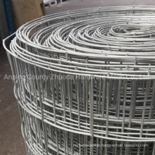 Amazon Ebay′s Choice Hot Dipped Galvanized Heavy Duty Welded Wire Mesh Rolls for Fence (WWM)